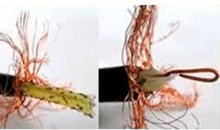 Старый антенный кабель